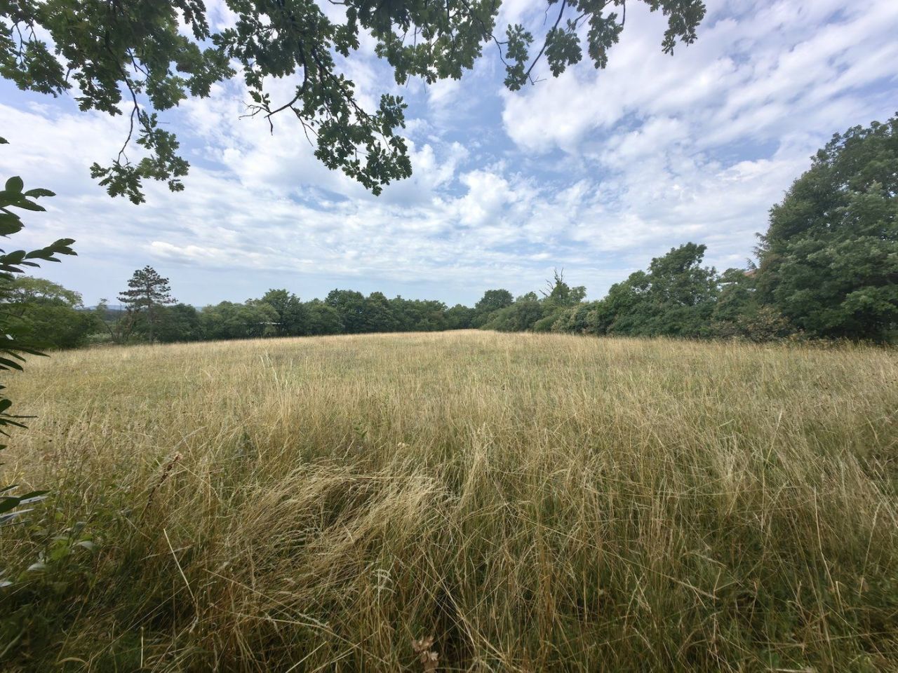 Дом в Комене, Словения, 114 м² - фото 3