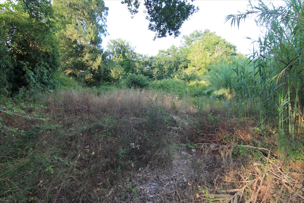 Земля на Корфу, Греция, 7 000 м² - фото 1