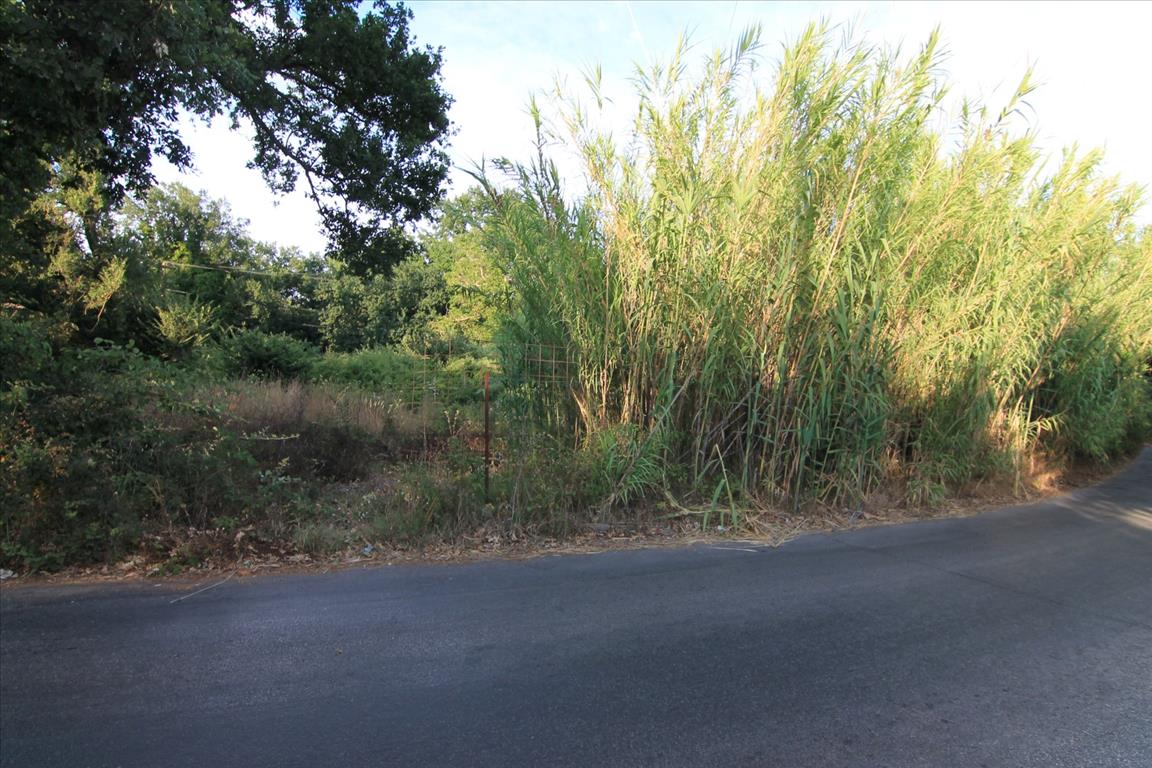 Земля на Корфу, Греция, 7 000 м² - фото 4