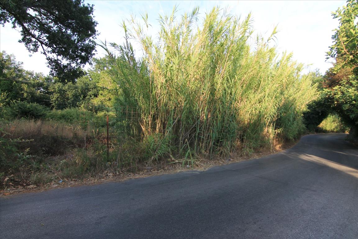 Земля на Корфу, Греция, 7 000 м² - фото 5