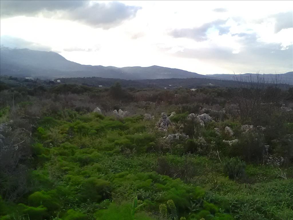 Земля в Ираклионе, Греция, 9 800 м² - фото 13