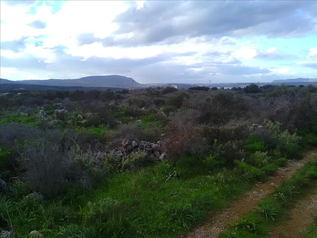 Земля в Ираклионе, Греция, 9 800 м² - фото 15