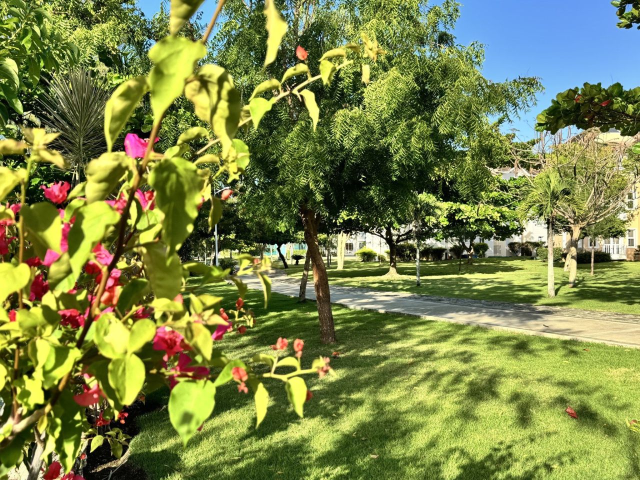 Земля в Сосуа, Доминиканская Республика, 420 м² - фото 4