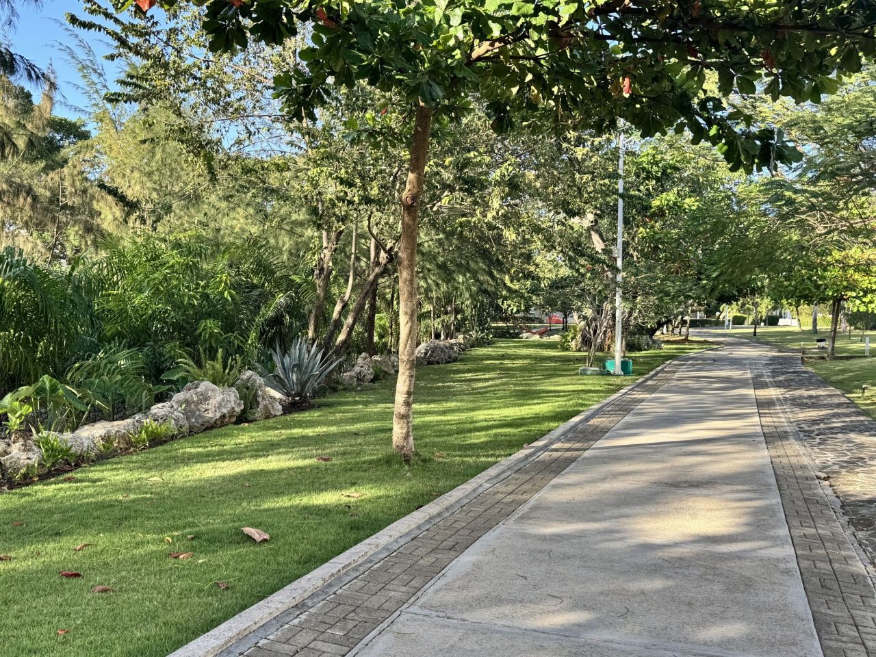 Земля в Сосуа, Доминиканская Республика, 420 м² - фото 8