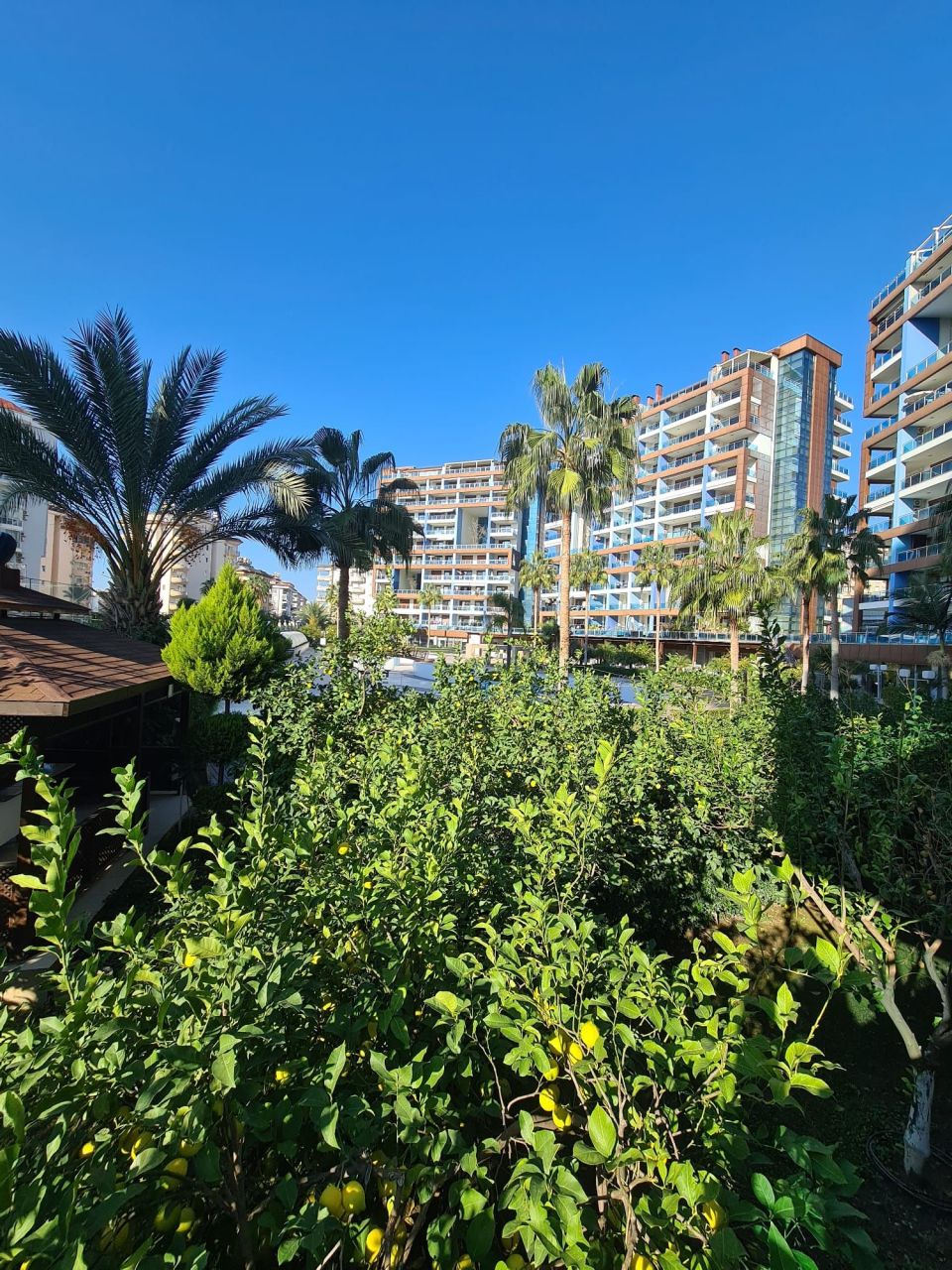 Апартаменты в Алании, Турция, 120 м² - фото 19