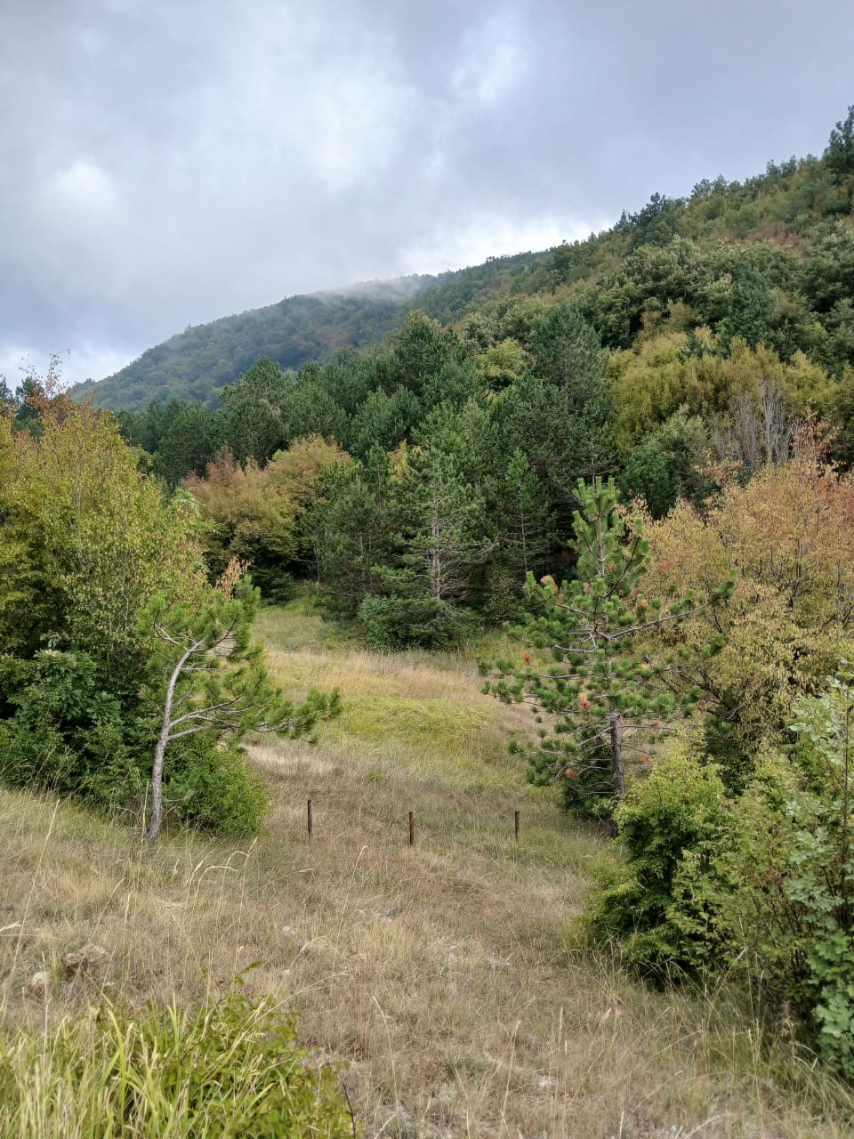 Земля в Булярице, Черногория, 129 000 м² - фото 5