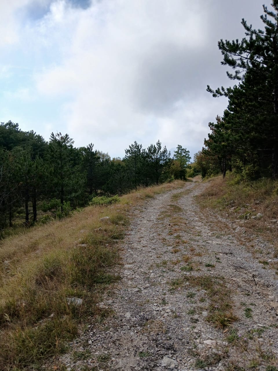 Земля в Булярице, Черногория, 129 000 м² - фото 8