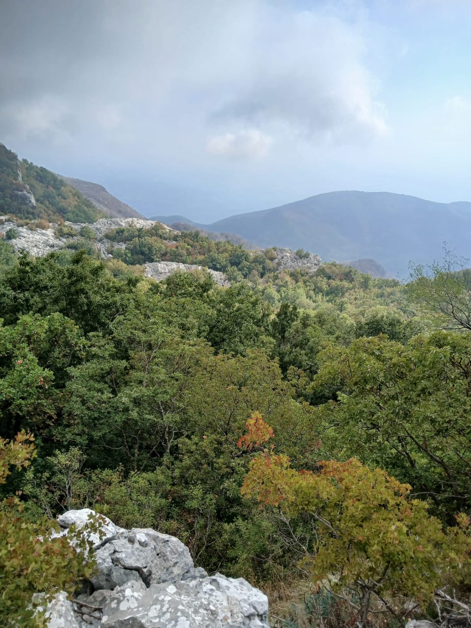 Земля в Булярице, Черногория, 129 000 м² - фото 11