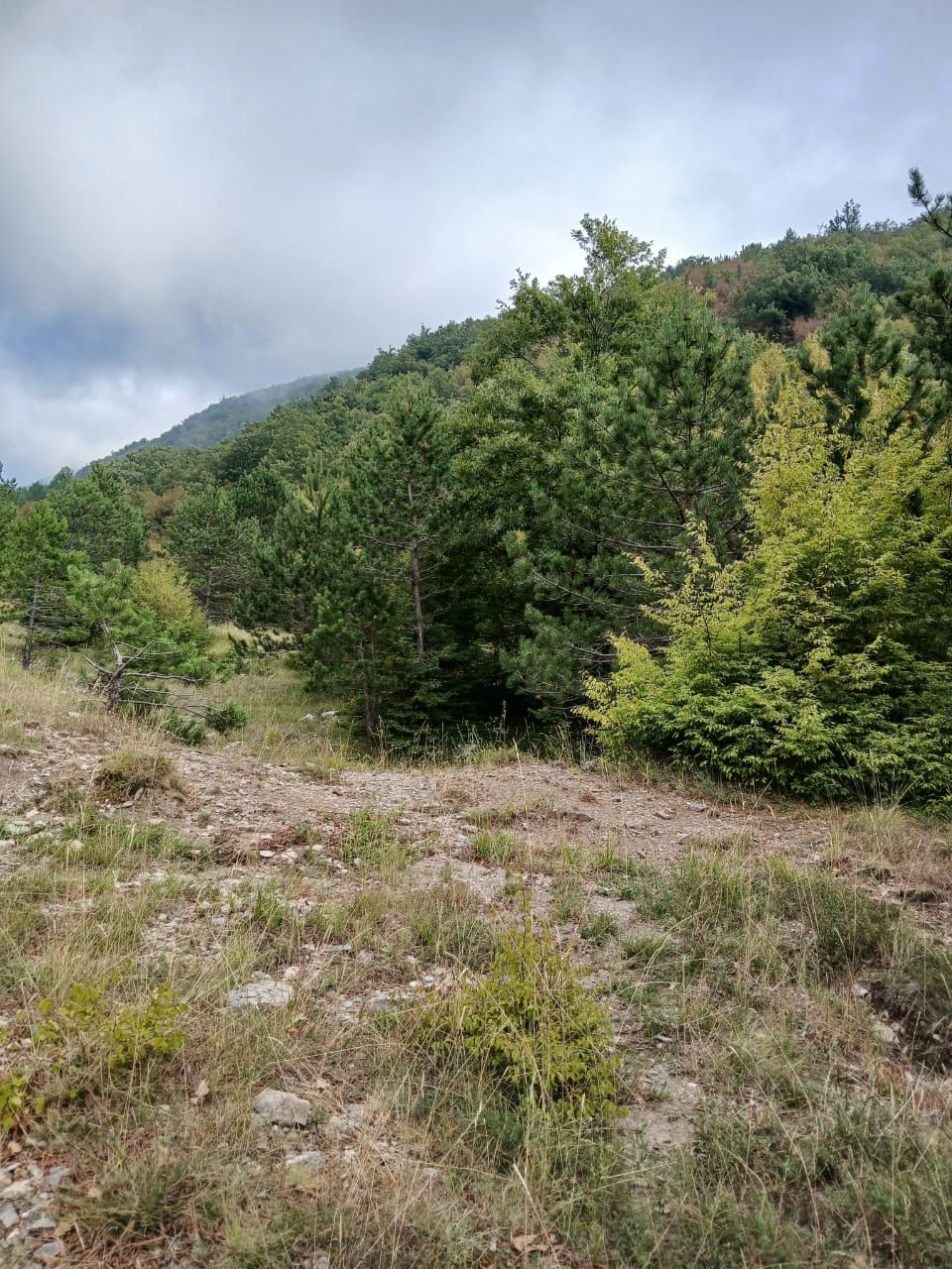 Земля в Булярице, Черногория, 129 000 м² - фото 9