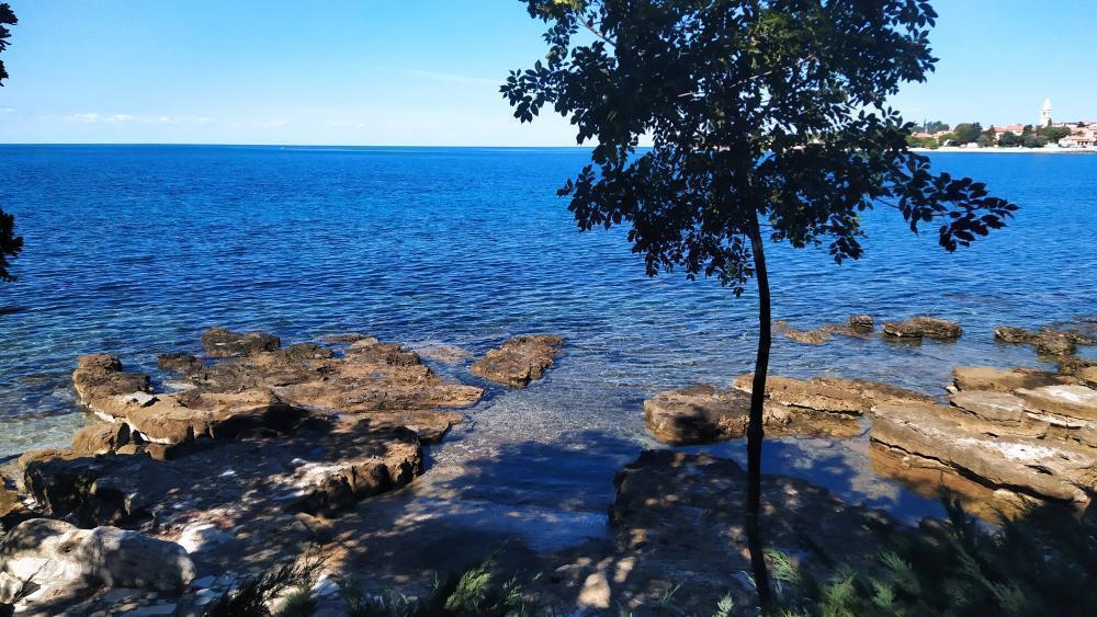 Вилла в Умаге, Хорватия, 400 м² - фото 12