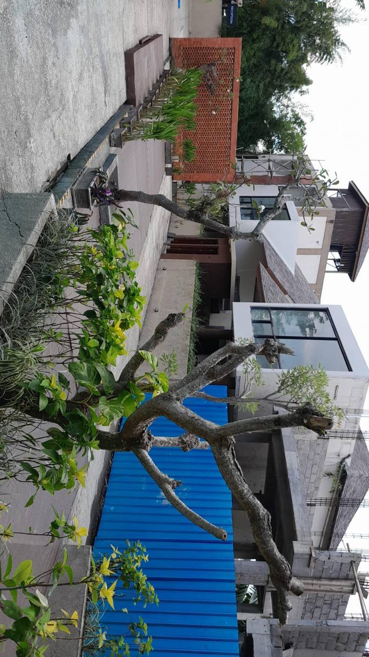 Отель, гостиница в Чемаги, Индонезия, 3 211 м² - фото 9