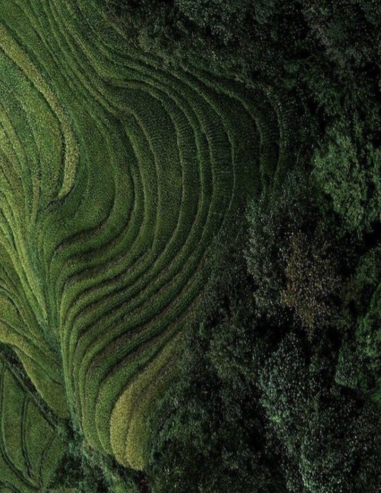 Коммерческая недвижимость в Убуде, Индонезия, 45 м² - фото 2