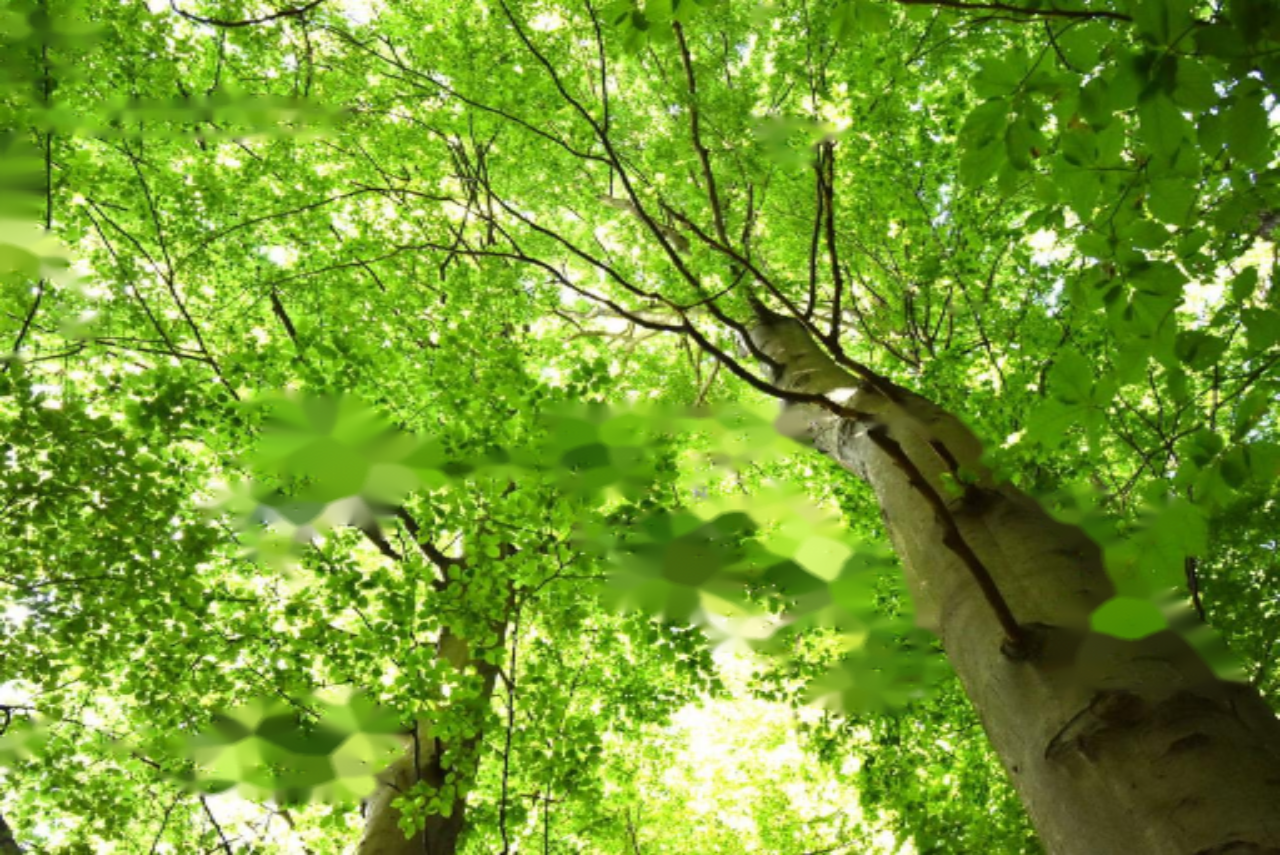 Ферма в Шентюре, Словения, 70 м² - фото 2