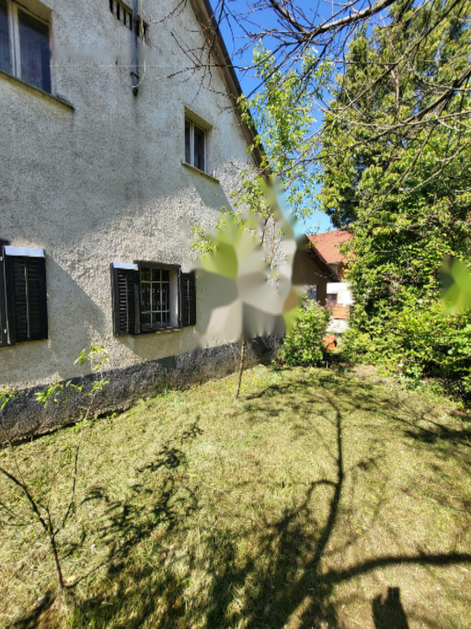 Ферма в Шмарье-при-Елшах, Словения, 95 000 м² - фото 9