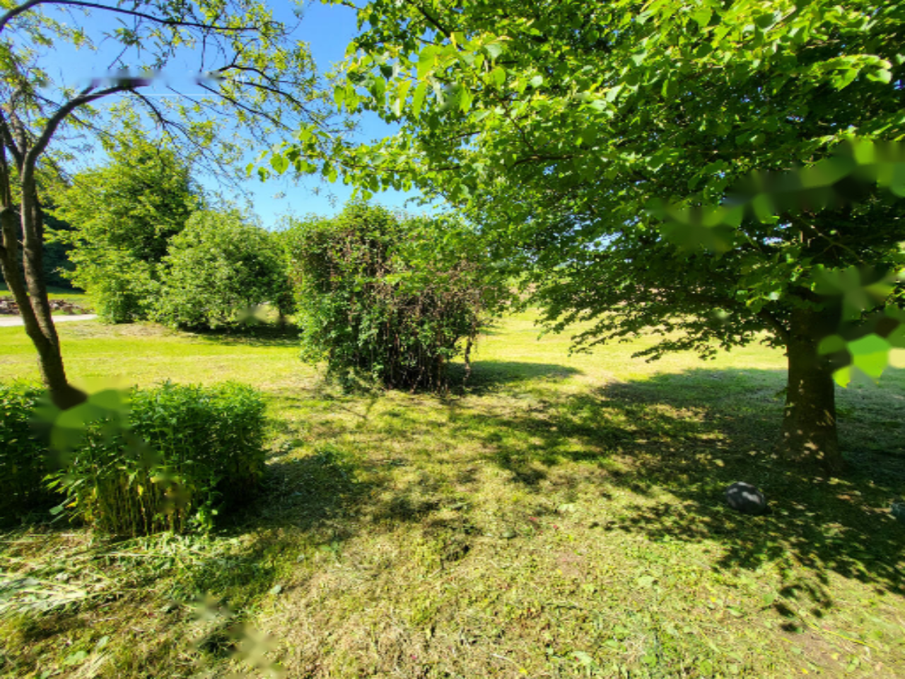 Ферма в Шмарье-при-Елшах, Словения, 95 000 м² - фото 14