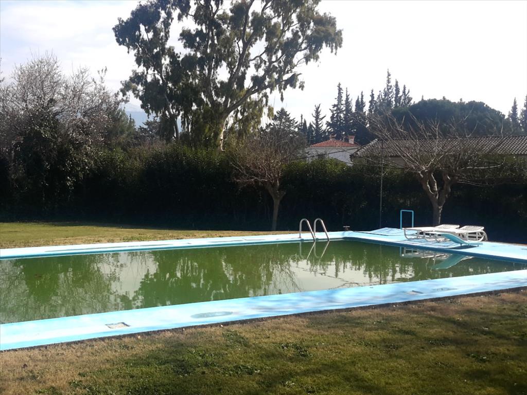 Дом в Аттике, Греция, 500 м² - фото 13