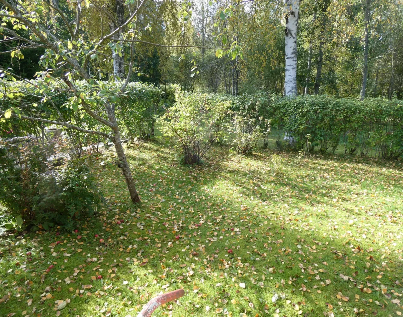 Таунхаус в Лиекса, Финляндия, 80 м² - фото 14