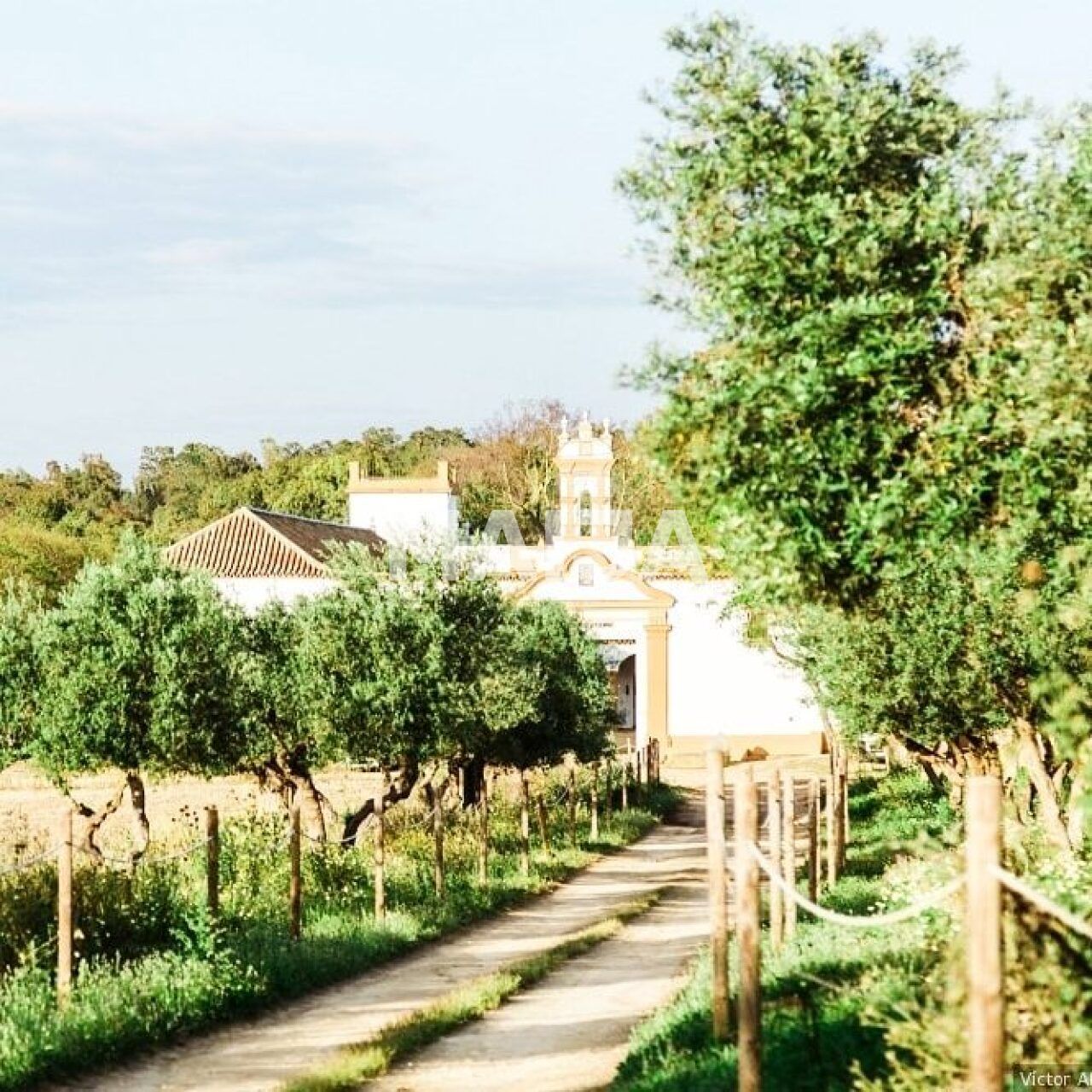 Отель, гостиница в Севилье, Испания, 19 642 м² - фото 3