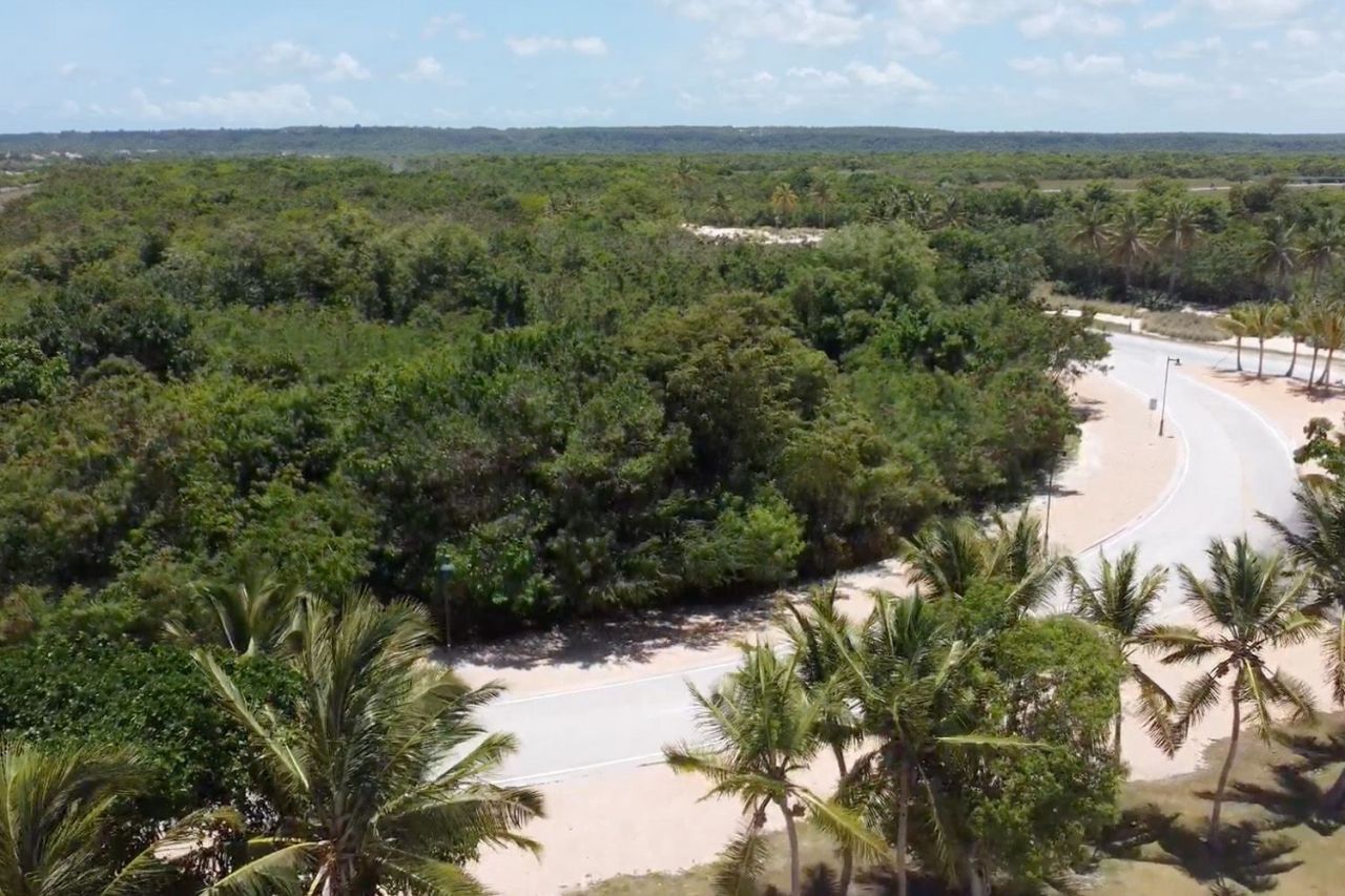 Земля в Пунта-Кана, Доминиканская Республика, 1 463 м² - фото 4