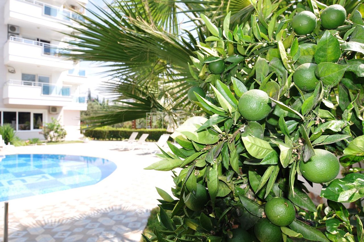 Апартаменты в Алании, Турция, 60 м² - фото 10