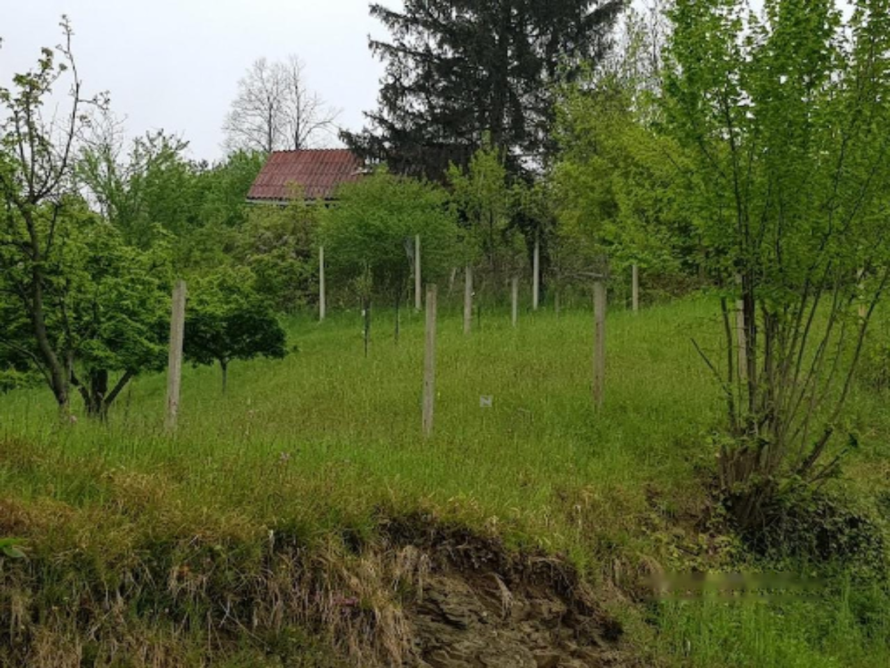 Дом в Руше, Словения, 47 м² - фото 4