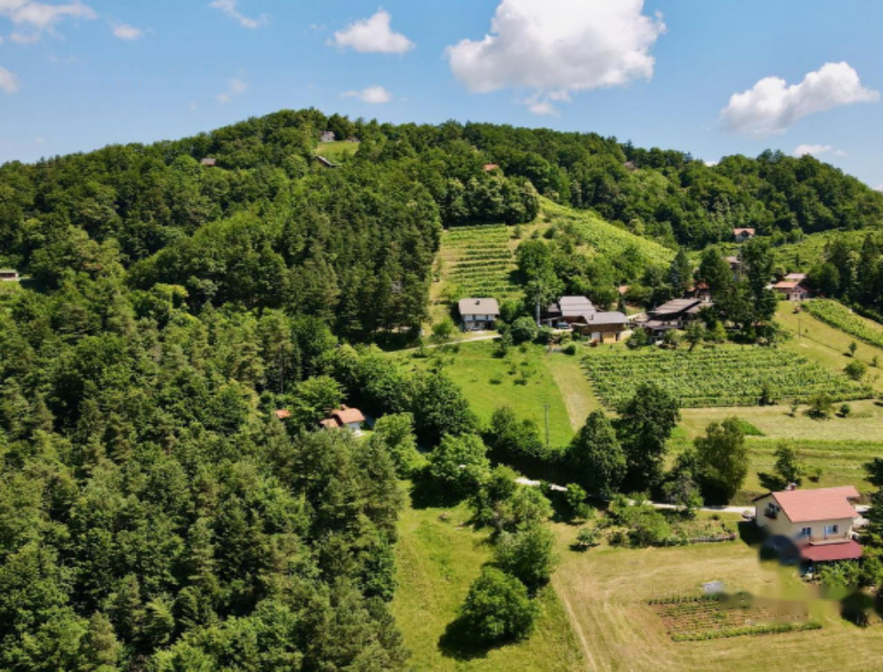 Дом в Требне, Словения, 95 м² - фото 4