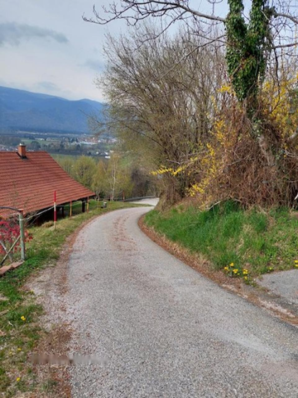 Дом в Руше, Словения, 47 м² - фото 5