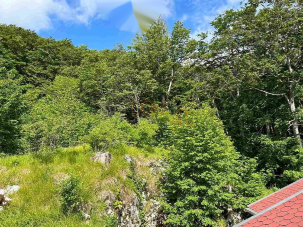 Дом в Опатии, Хорватия, 420 м² - фото 5