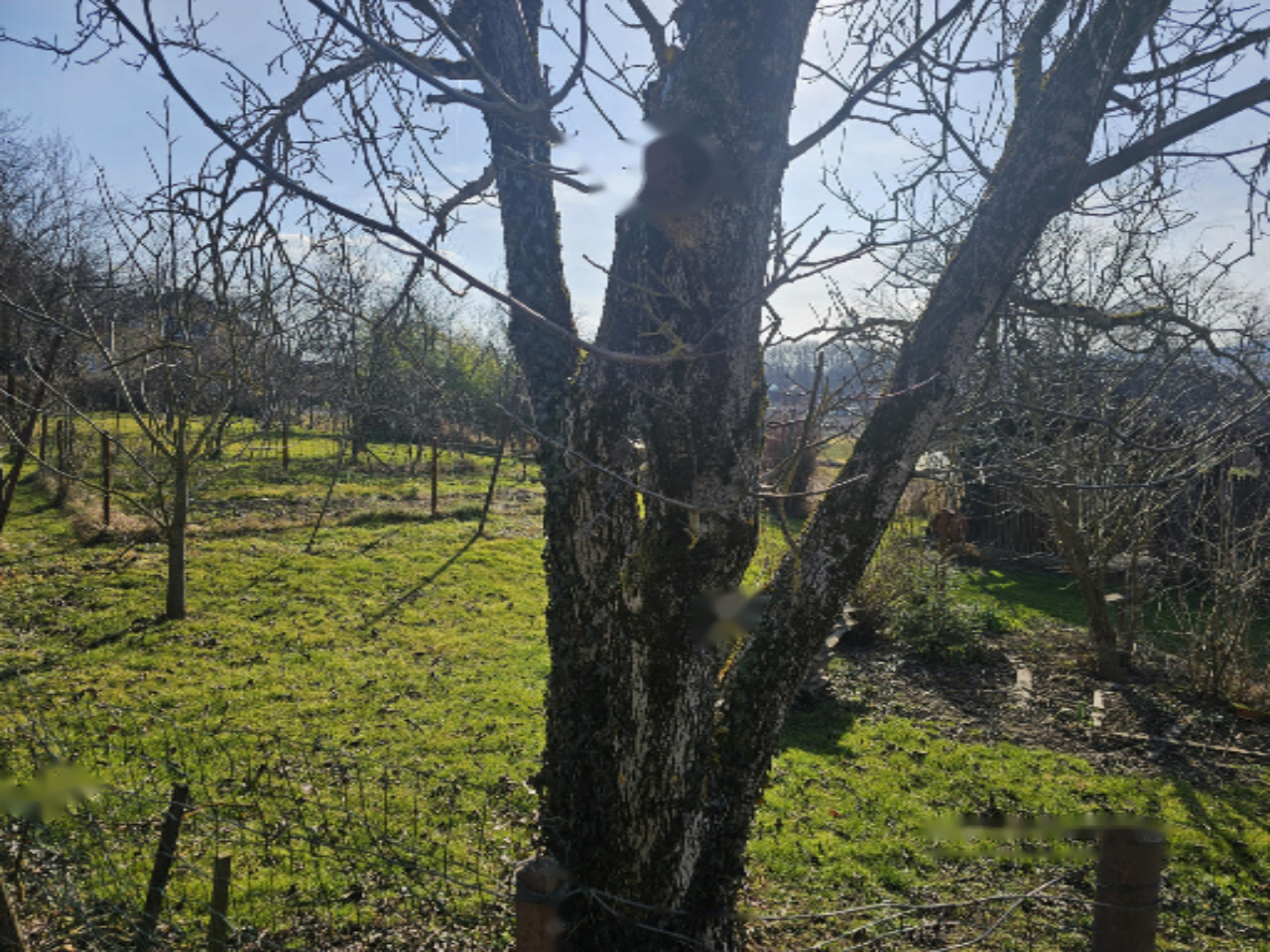 Дом в Брежице, Словения, 62 м² - фото 6