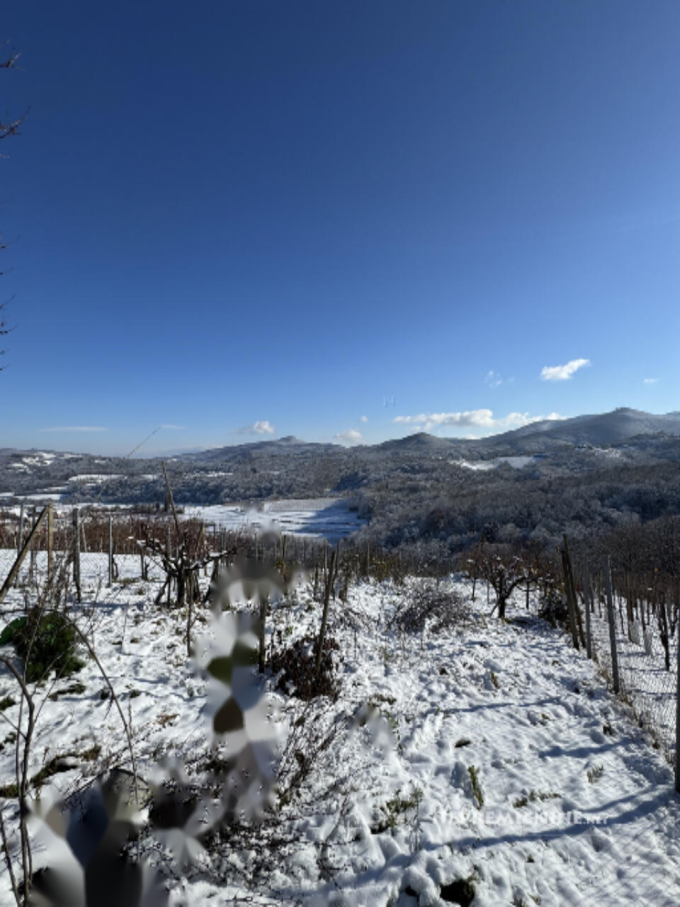 Дом в Брежице, Словения, 90 м² - фото 7