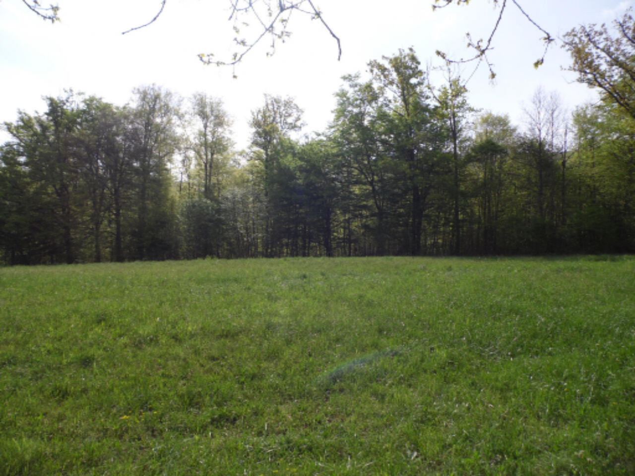 Дом в Ново-Место, Словения, 55 м² - фото 7