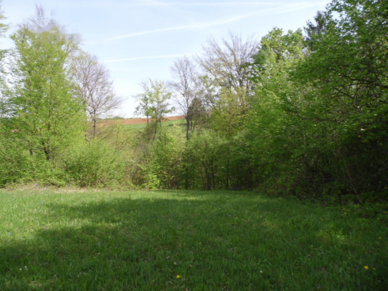 Дом в Ново-Место, Словения, 55 м² - фото 8