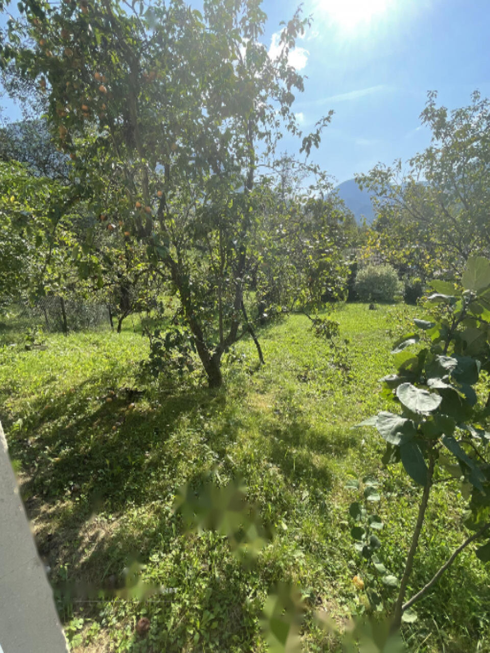 Дом в Жалеце, Словения, 75 м² - фото 8