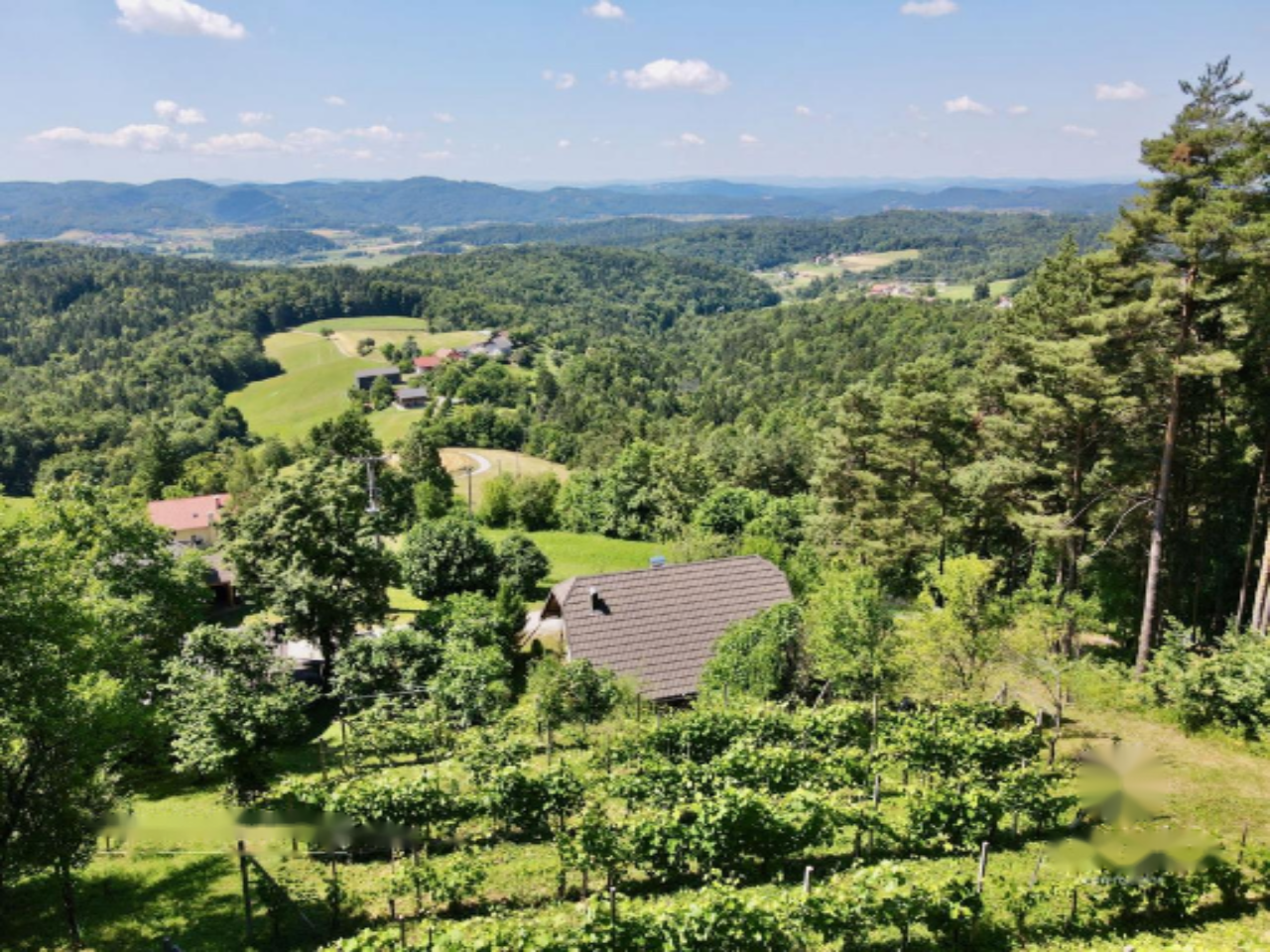 Дом в Требне, Словения, 95 м² - фото 9