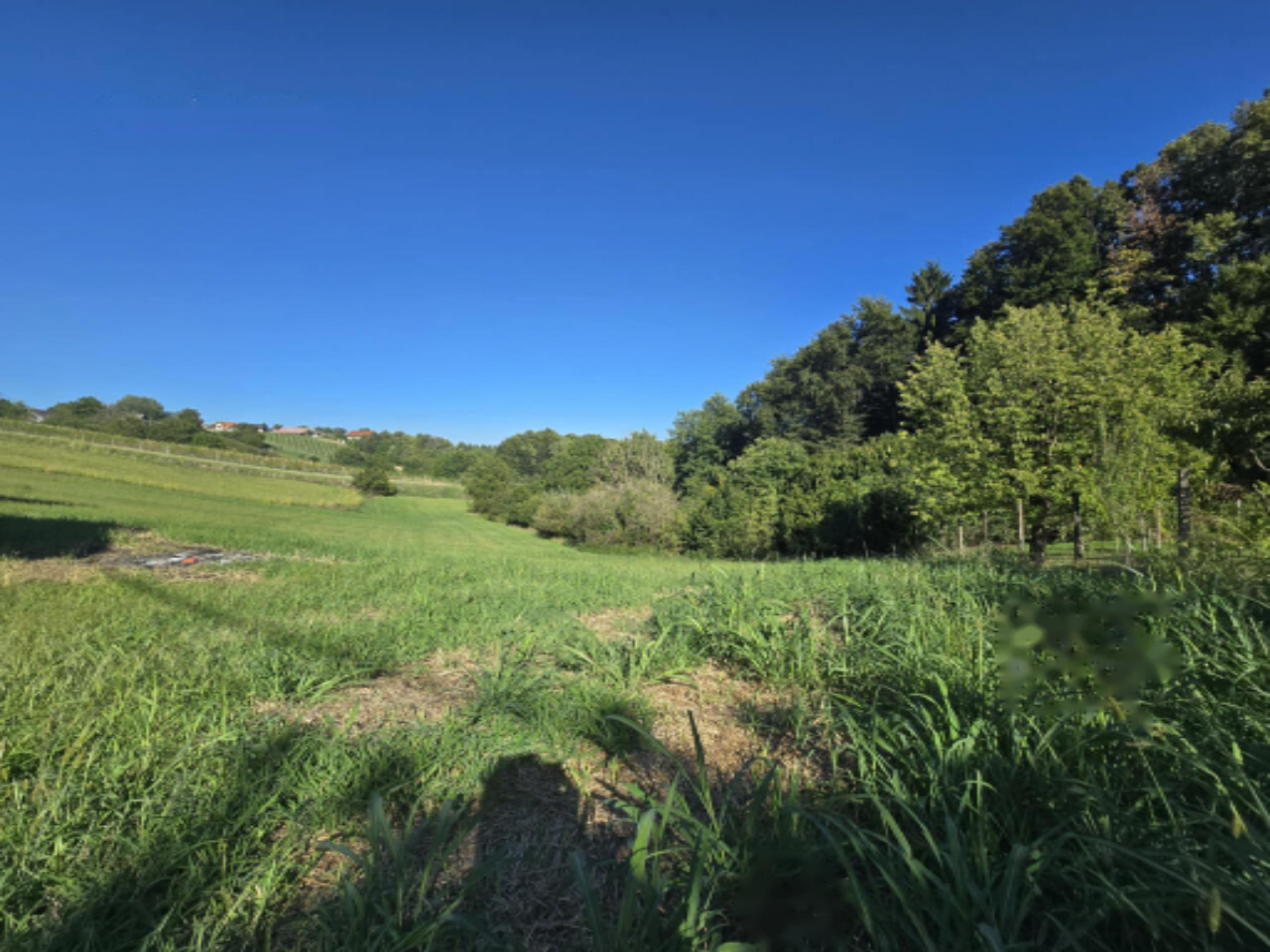 Дом в Птуе, Словения, 241 м² - фото 10