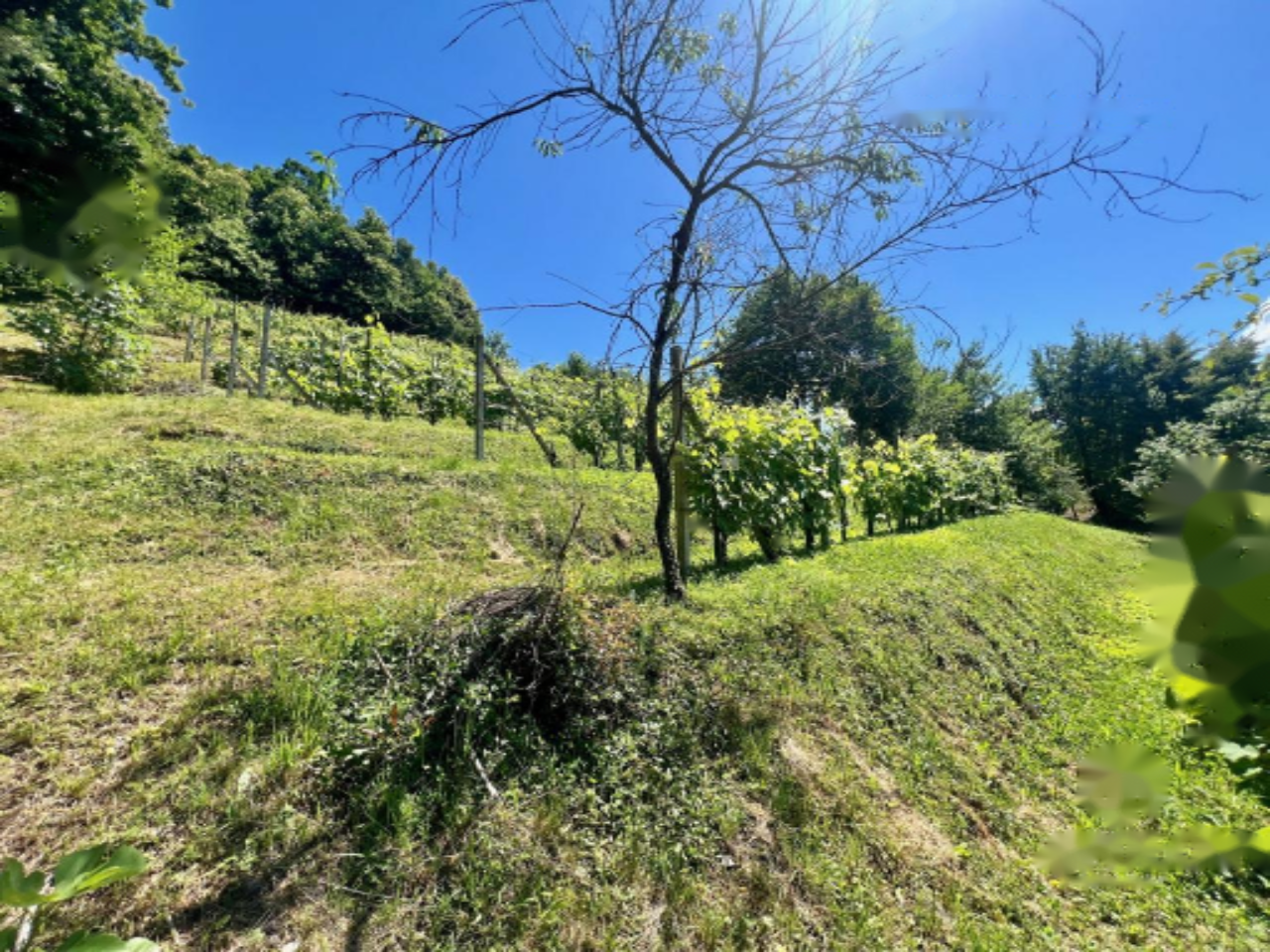 Дом в Требне, Словения, 95 м² - фото 11