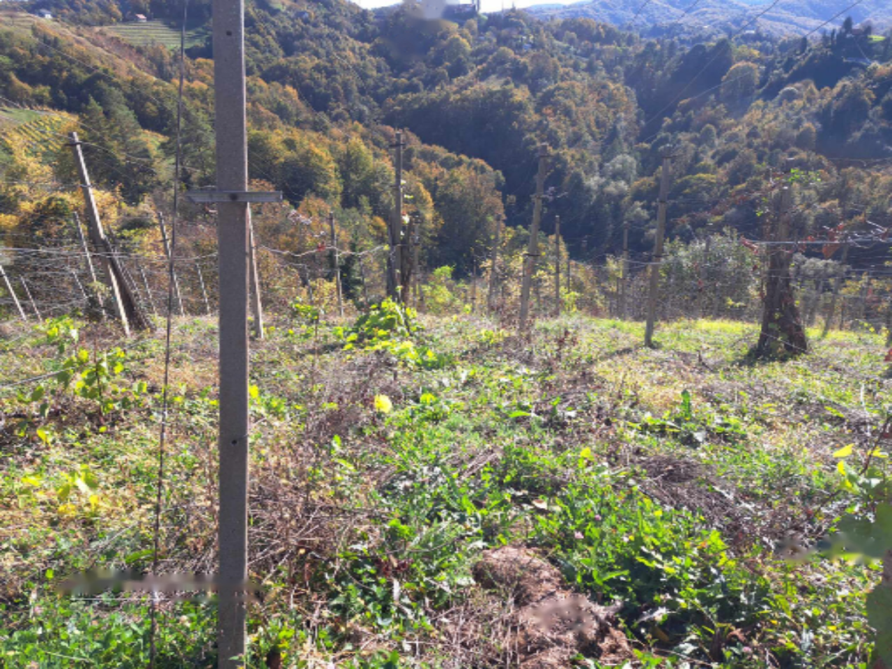 Дом в Птуе, Словения, 99 м² - фото 12