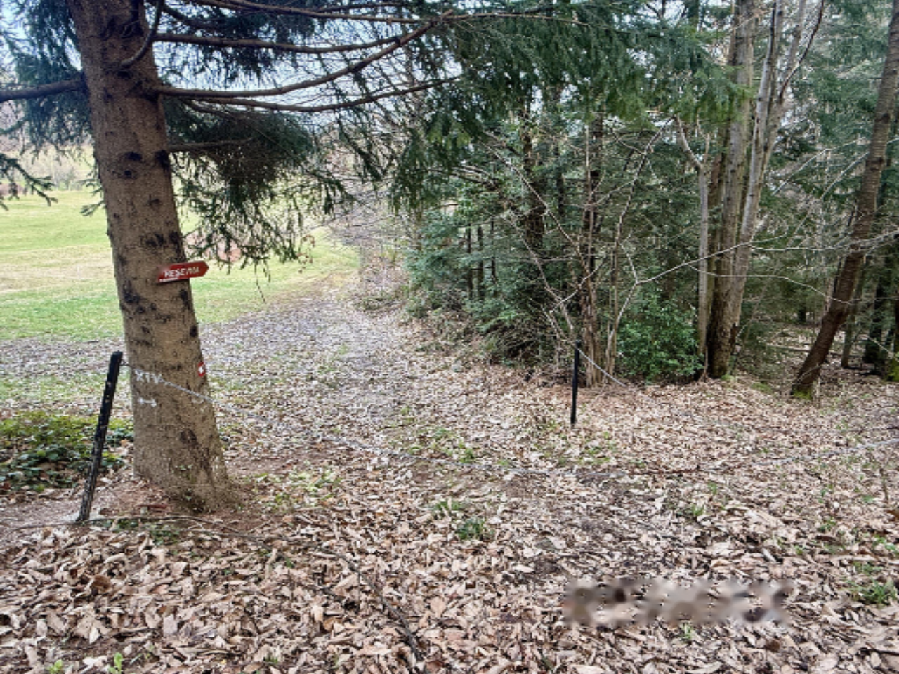 Дом в Целе, Словения, 79 м² - фото 14