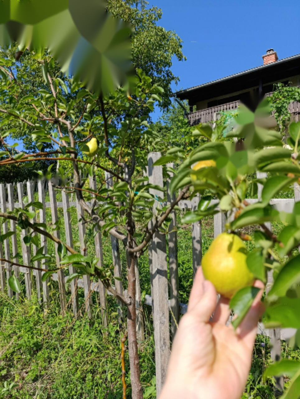 Дом в Кршко, Словения, 105 м² - фото 5