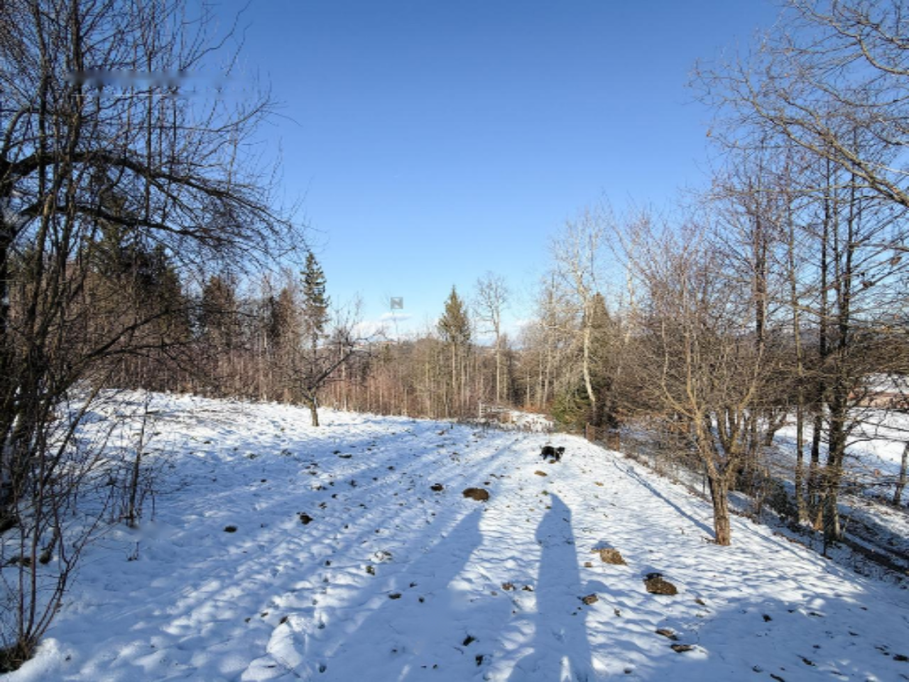 Дом в Любляне, Словения, 400 м² - фото 8