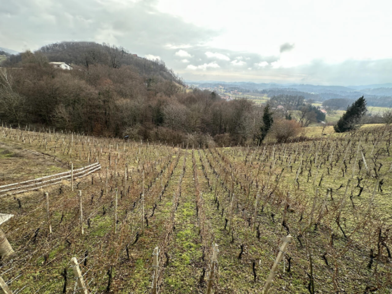 Дом в Шмарье-при-Елшах, Словения, 65 м² - фото 19