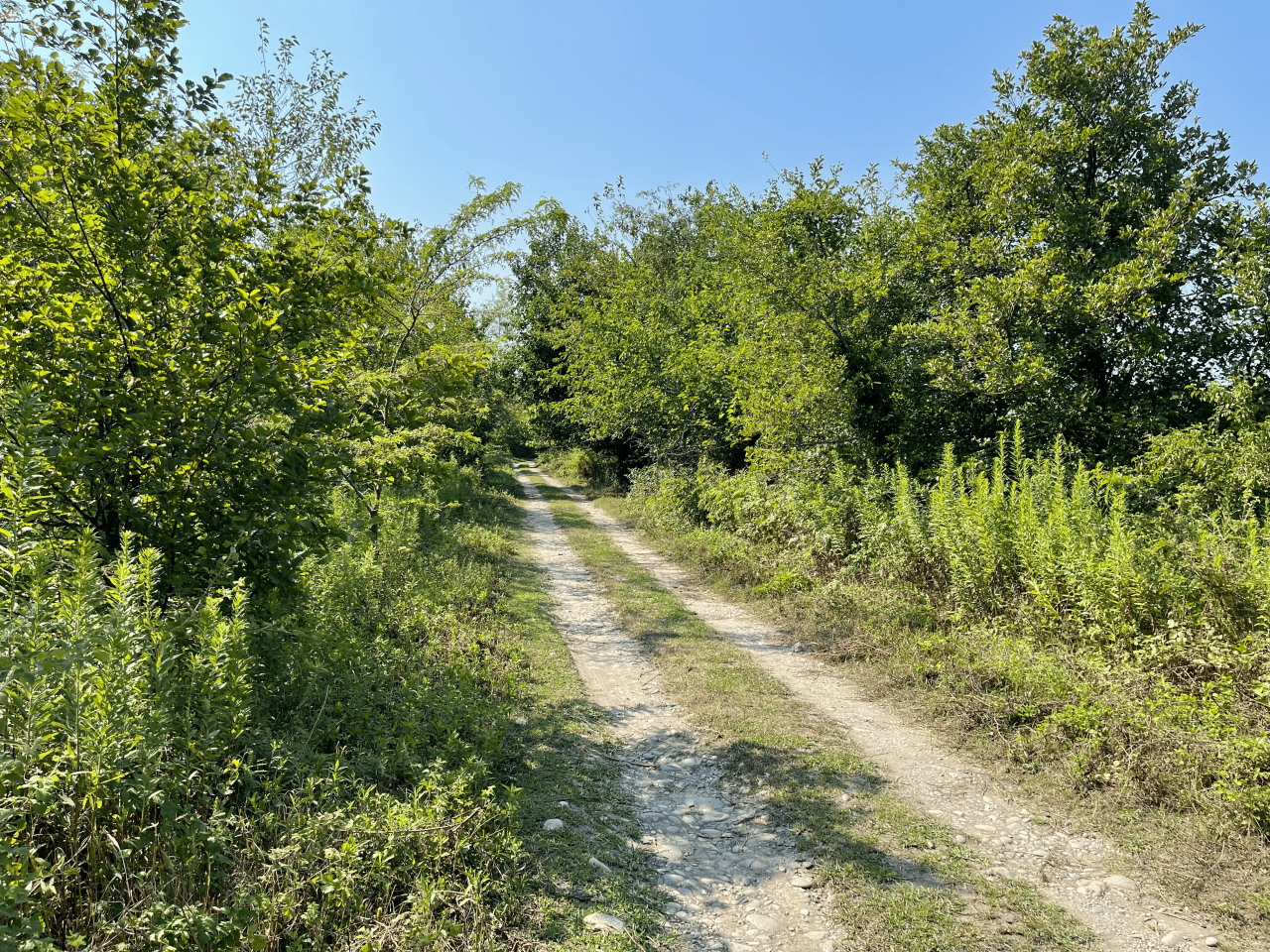 Земля в Хони, Грузия, 25 Га - фото 3