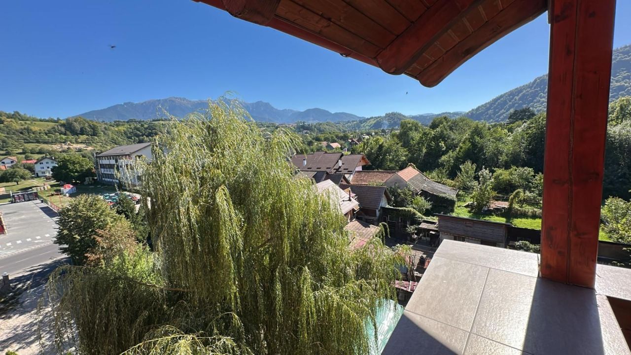 Отель, гостиница Tohanu Nou, Румыния - фото 19