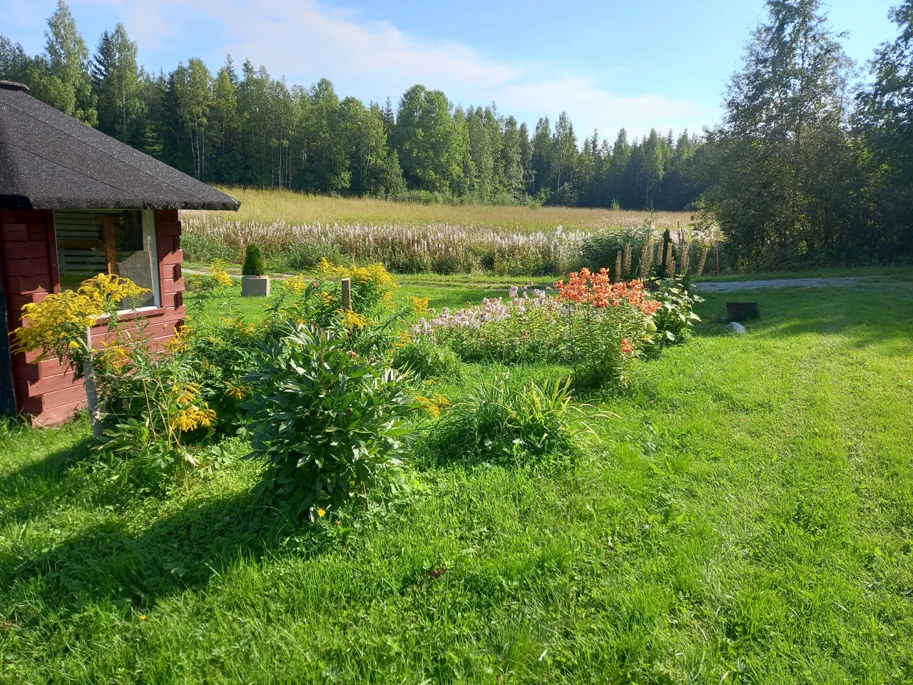 Коттедж в Юука, Финляндия, 19 м² - фото 4