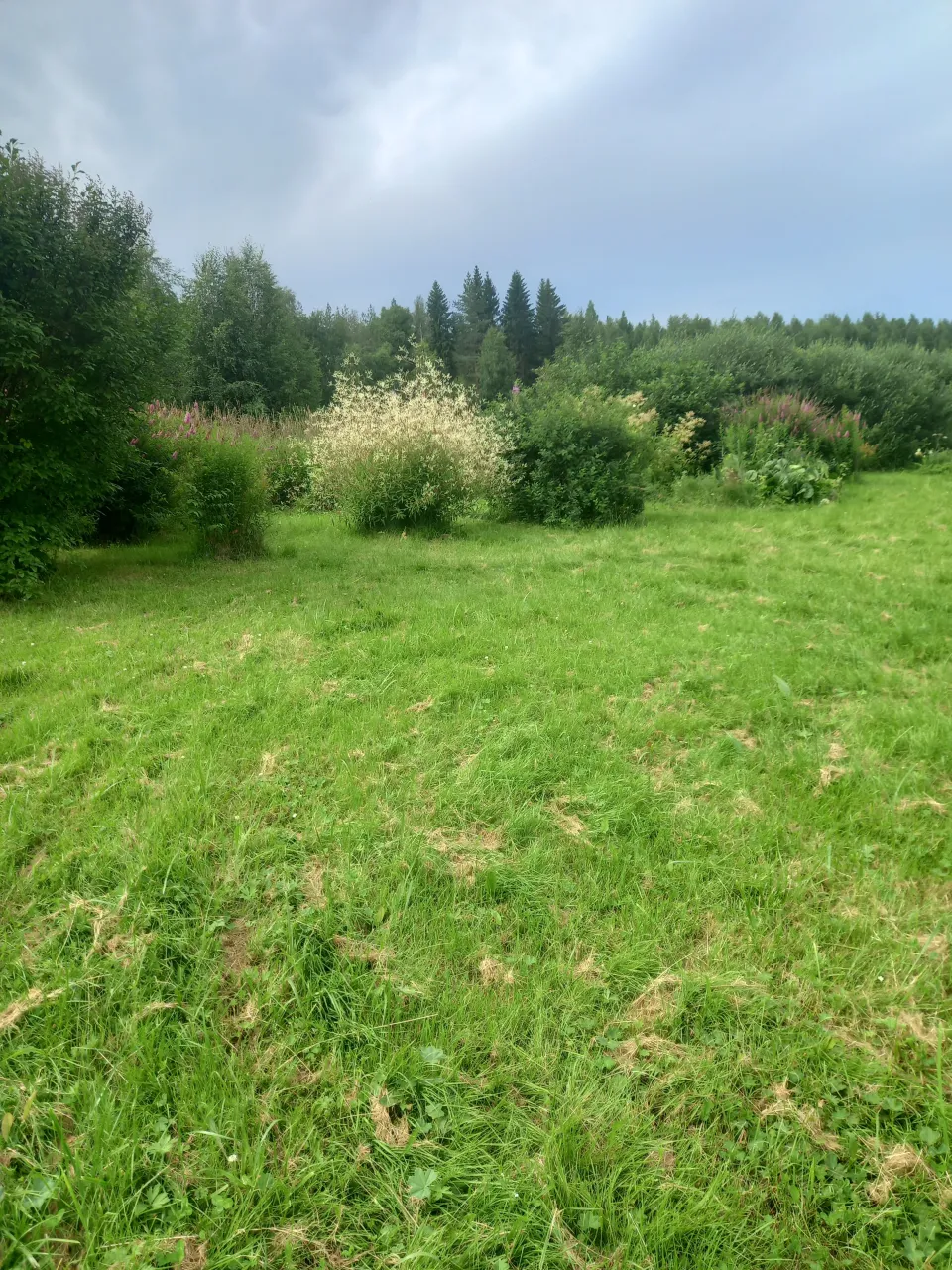 Коттедж в Юука, Финляндия, 19 м² - фото 6