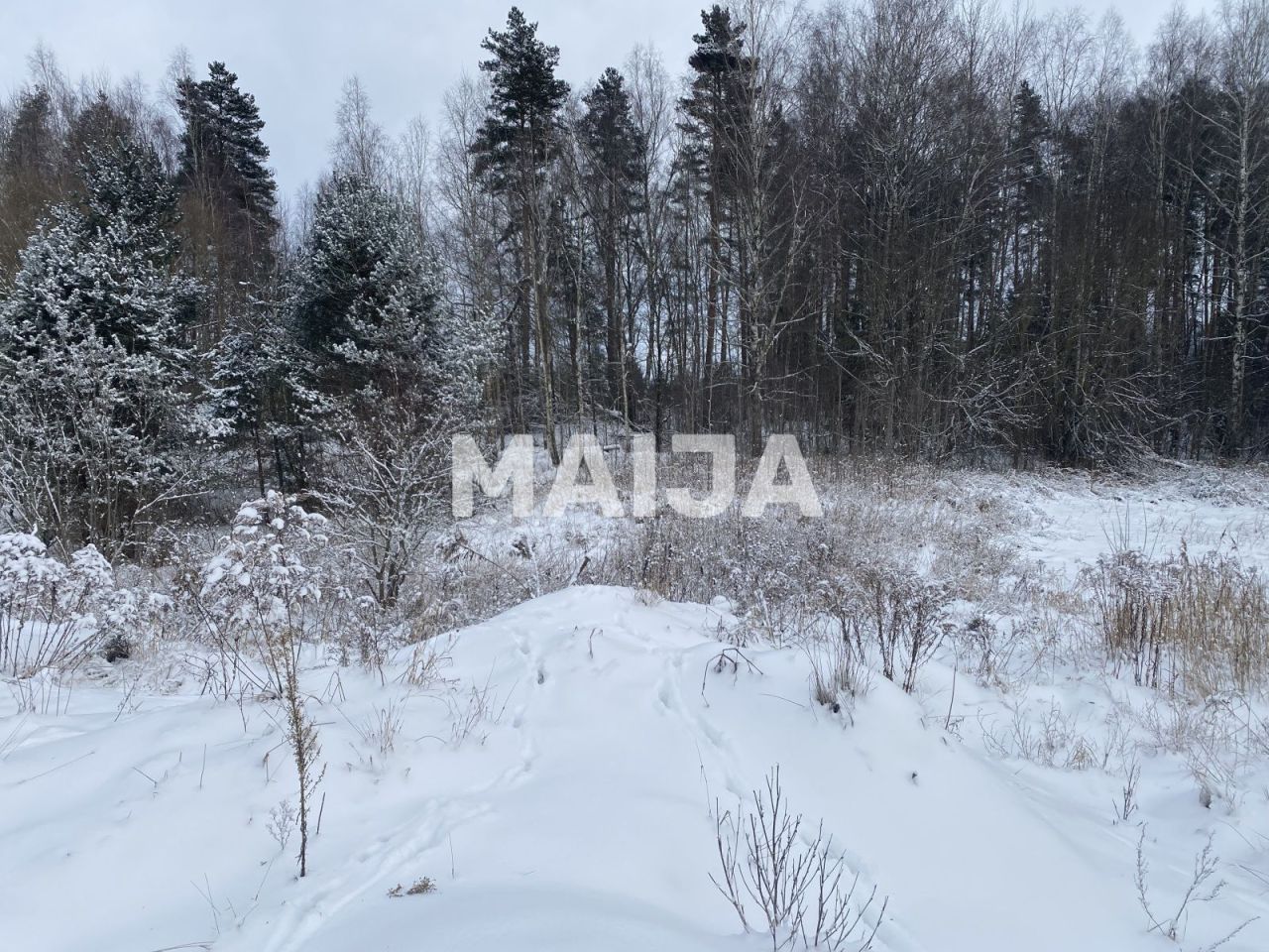 Земля в Огре, Латвия, 22 102 м² - фото 1