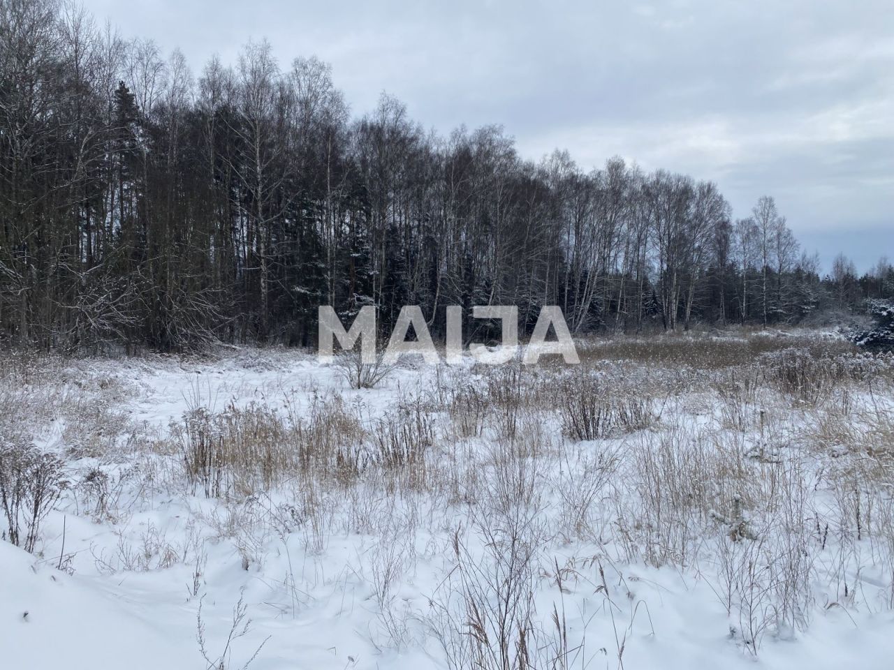 Земля в Огре, Латвия, 22 102 м² - фото 2