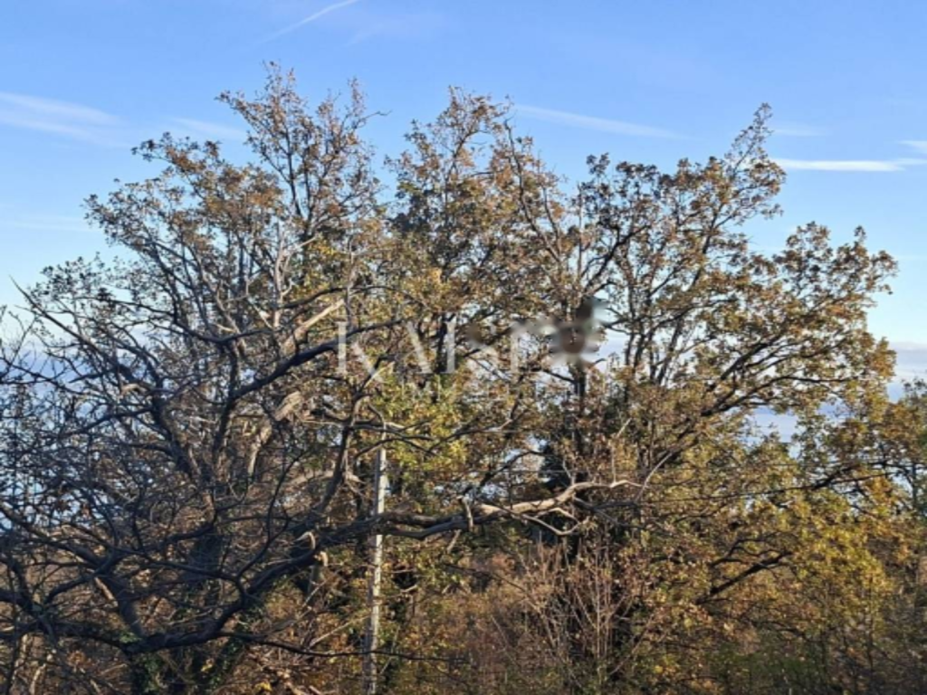 Дом в Опатии, Хорватия, 55 м² - фото 10