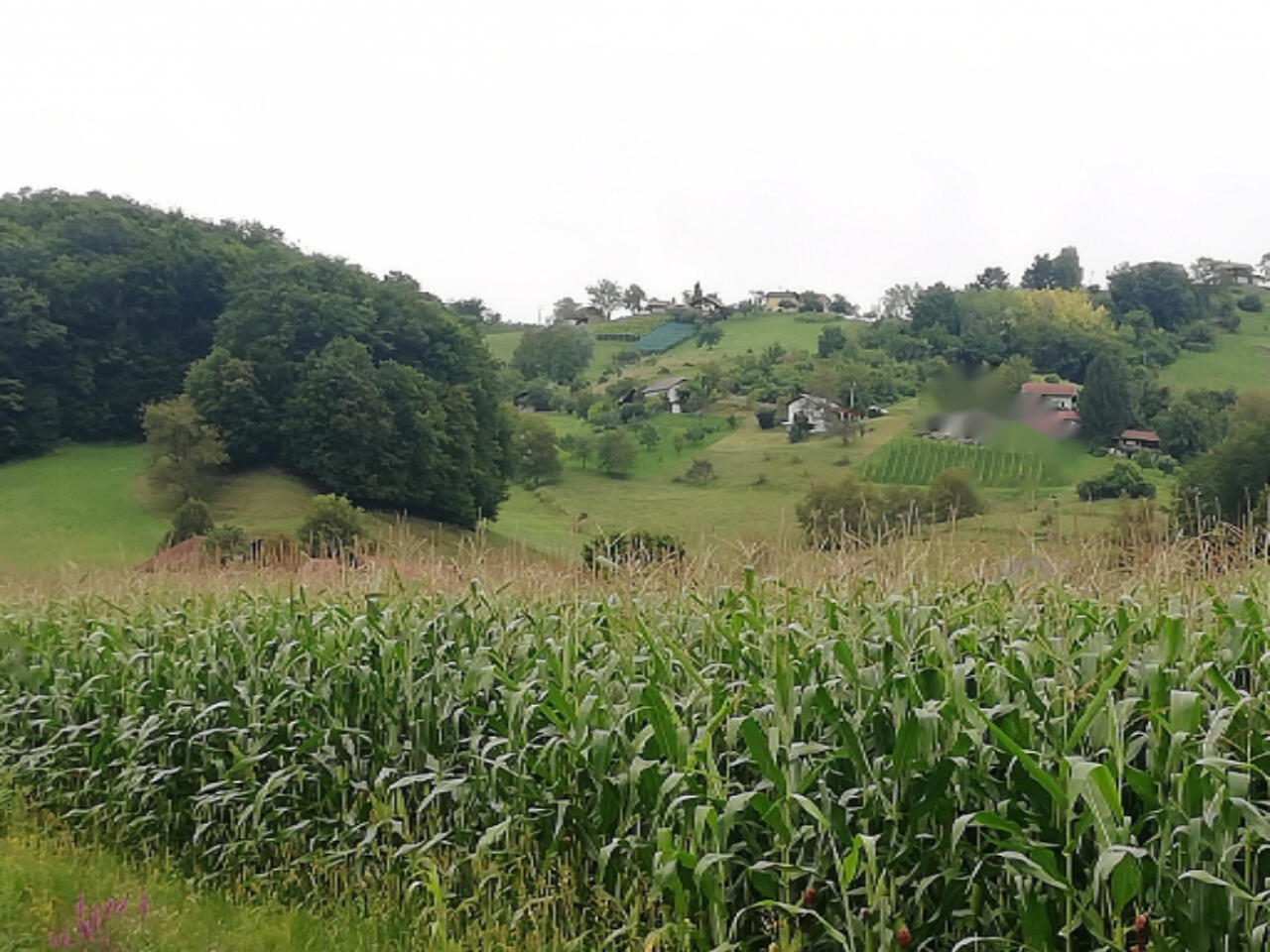 Дом Зибика, Словения, 154 м² - фото 9