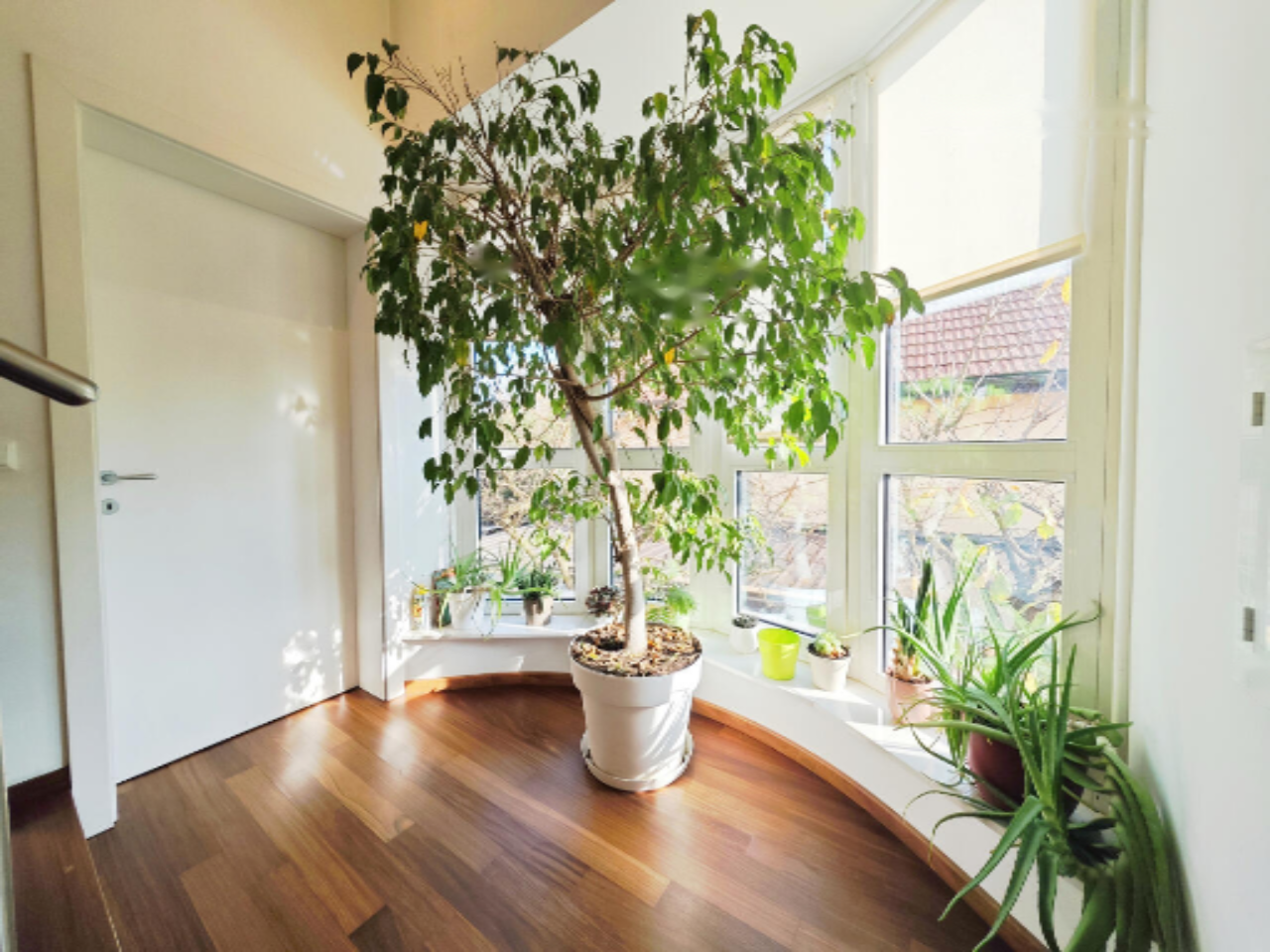 Дом в Любляне, Словения, 389 м² - фото 10